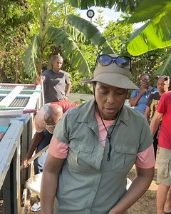 Charles Dowding No Dig Gardening on Reels