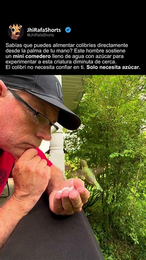 PUEDES ALIMENTAR A UN COLIBRÍ DESDE TU MANO.