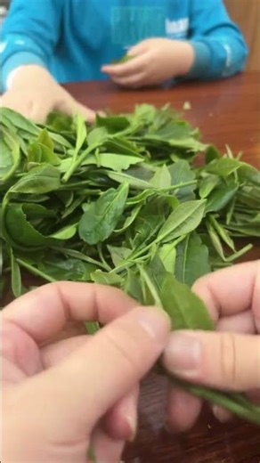 How Farmers Grow Fresh Vegetables | Organic Farming