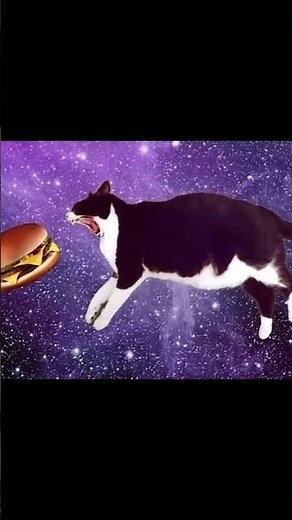 Miau Miau but it’s Galactic 🌌😹