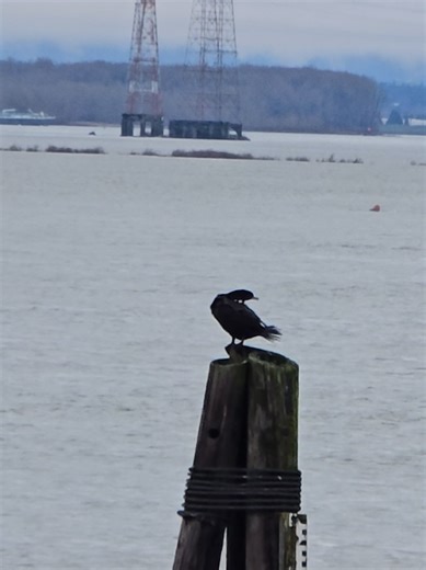 Happy Fridayyy! ✌️😏 #walk #walkwithme #accountability #happyfriday