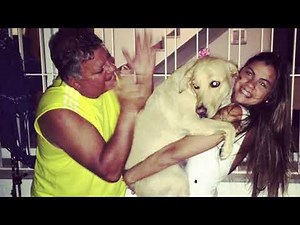 Perros abrazando humanos