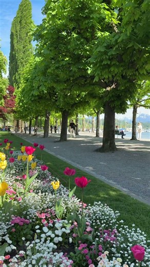Beautiful Lucerne ( Luzern ) ❤️ #switzerland