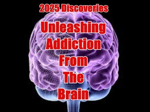 Unlocking the Brain: The Neuroscience of Addiction