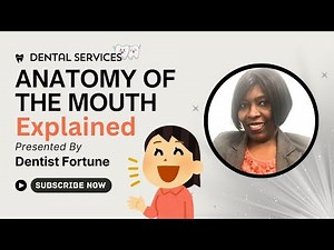 Anatomy of the Mouth Explained | Key Oral Structures & Functions (2025 Guide)