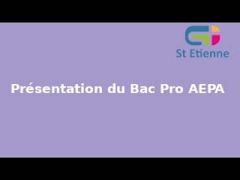 Présentation du Bac Pro AEPA (Animation Enfance et Personnes Âgées)