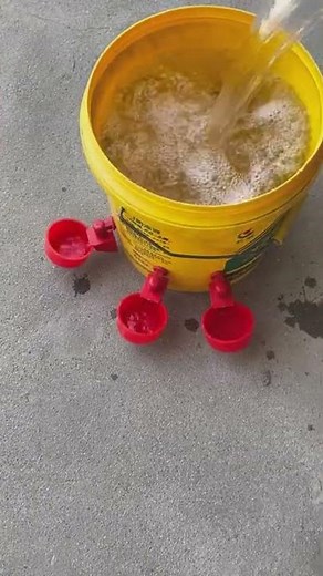 Automatic water feeder for poultry, chicks, ducklings drinker