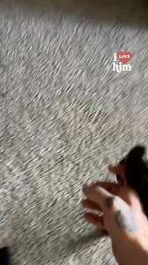 Big guy just wants cuddles 😍 | ILoveHim