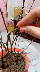 2.4M views · 61K reactions | Cosas Interesantes Que No Habías Visto 1 #viral #creativity #satisfying | Cosas Geniales | Facebook