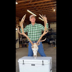 1.3K views · 29 reactions | Randy Newberg, TV and hunting personality is the voice of the public lands hunter in America. He is helping us to kick off Elk Week with some personal experience and history of Elk herds in Nevada. Thanks @Randynewberg,hunter for the acknowledgement! @nevadarockymountainelkfoundation | Nevada Department of Wildlife | Facebook