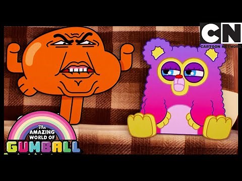 Darwin VS Fuzzy: The Fight For Gumball's BFF | Gumball | Cartoon Network