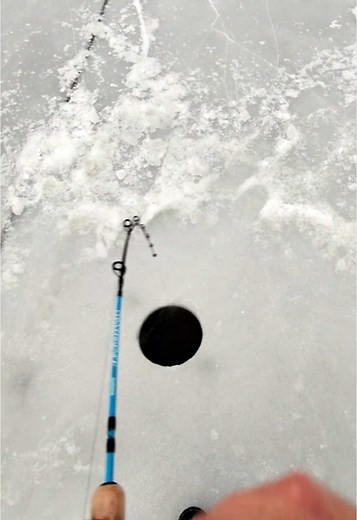 Brian Still on TikTok