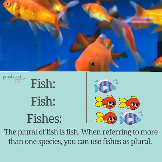 🐠 Unveiling the Fin-tastic Mystery: The Case of 'Fishes' vs. 'Fish'! 🐠 Did you know that there's a fishy secret about plurals? 🤫🐟 While most of us stick to saying "fish" for the plural form, there's a funky alternative: "fishes"! 🐡🐠 When you want to get specific and talk about different species, you can use "fishes." Imagine saying, "The aquarium is swimming with all sorts of fishes, like goldfish, guppies, and angelfish!" 🐠🐡🐟 And hold your gills! There's more! In the scientific realm, 