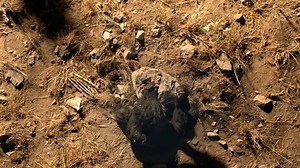 Where would we be without our tools? Bosch Go is the latest stage of evolution in toolmaking, a powerful screwdriver that sits in your palm. Follow Bosch now for more epic content. | Bosch Professional Power Tools And Accessories