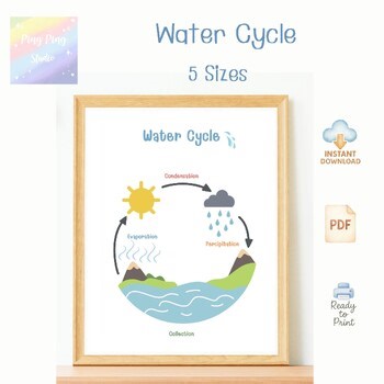 Water Cycle Poster | Educational Science Classroom Wall Art