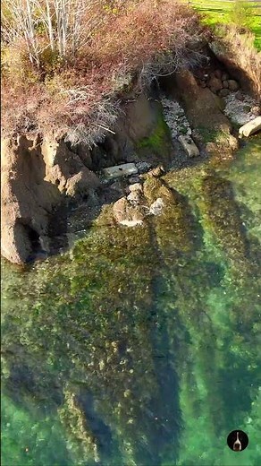 Puget Sound Coastline 🌲 | Rockaway Beach Park on Bainbridge Island (DJI Avata 4K)