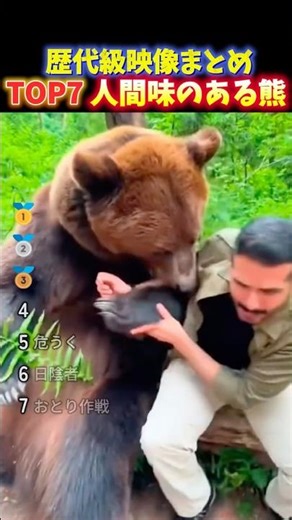 海外でバズったクマの恐ろしい瞬間TOP7