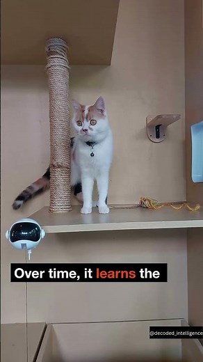What is Machine Learning? (Explained Simply)