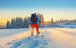 A Beginner's Guide to Snowshoeing