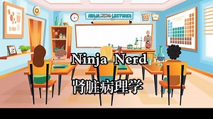 Ninja Nerd《肾脏病理学|Renal Pathology》中英字幕（Claude-3.7）
