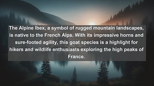 Exploring Frances Natural Treasures: Top 10 Native Fauna