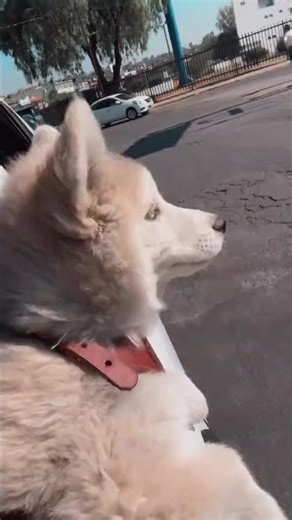 11 de febrero de 2026