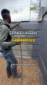 1.2M views · 3.1K reactions | #funnyfactsvn #foryoupage #ads #reel #grow #facebook #viral #content #storytimemakeup #ytimemakeup #storytelling | Funny Facts VN | Facebook