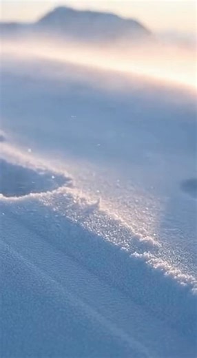 NATO Arctic Group — Modern Operations | Frozen Ridge Line Patrol