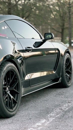 Idle Moments with the Ford Mustang GT350