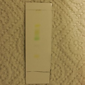 Chromatographie von Blattfarbstoffen —  Chemie-Experimente