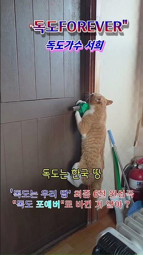 독도가수서희의독도포에버(독도는우리땅최종6절완성곡)#독도전경#독도포에버#서희#독도가수서희#독도영상#독도는한국땅#독도갈매기#독도#독도노래#독도소주#독도사랑#독도새우#괭이갈매기#성수동