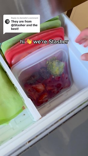 Best Reusable Stasher Bags for Eco-Friendly Living