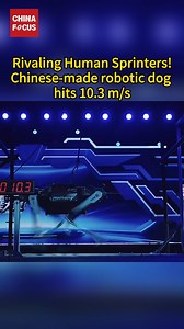 14K views · 118 reactions | A Chinese robotic dog, Black Panther, reached 10.3 meters per second within 10 seconds in a TV show on Sunday, on par with top human sprinters, breaking the machine dog world dash record set by Boston Dynamics' WildCat. Unveiled in January, this robotic dog boasted a peak stride frequency of 5 times per second, ranking it among the world's fastest quadruped robots. | China Focus | Facebook