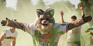 Cat runs on football field because it doesn't care about us