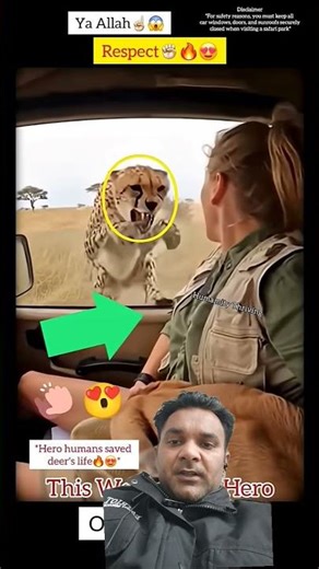 Introducing the "VitalWear SmartBand," a next-generation wearable gadget