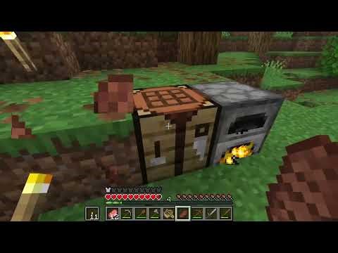 Minecraft Java Edition (1.21.11) #1