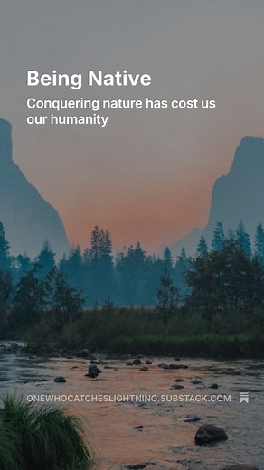 The west is built on extraction. Anything created by the west has this program, including the creation of a human centric civilization. Our ancestors knew a different way, it’s time to return to balance. #thepathofix #onewhocatcheslightning #ancestors | Path of IX -eesh | Facebook