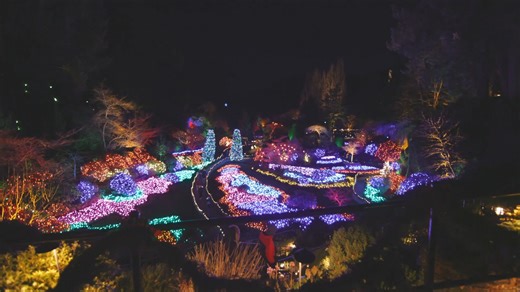 14K views · 938 reactions | Tonight marks the official start of our Magic of Christmas season! At 5:00pm sharp, we will flip the Christmas switch, illuminating The Gardens with thousands of twinkling lights. The Magic of Christmas runs now until January 6, 2024. Open nightly from 3:00pm - 9:00pm with viewing until 10:00pm. Reserve your date and time to visit this holiday season! www.butchartgardens.com/ | The Butchart Gardens | Facebook