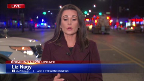 2 dead, 16 injured after stolen car causes wrong-way multi-vehicle crash at high-rate of speed: CPD