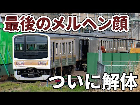 【さらばメルヘン顔】205系「いろは」無念の解体