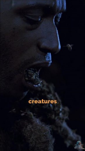 How They Filmed Candyman with REAL Bees (and Stayed Safe!)