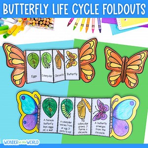 Life cycle of a butterfly sequence and fold science craft activity cut and paste