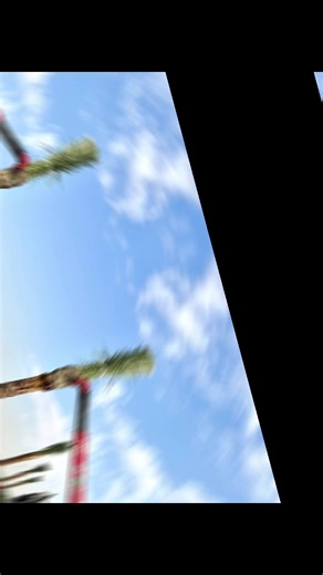 Palm Tree Installation in Dubai Silicon Oasis