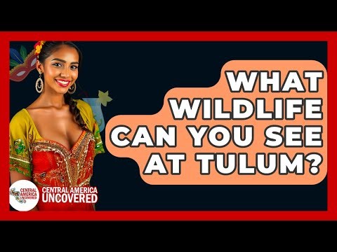 What Wildlife Can You See At Tulum? - Central America Uncovered