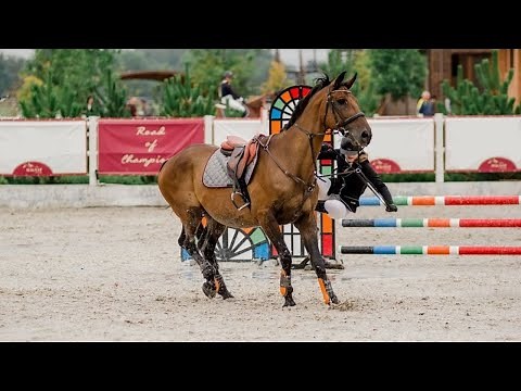 Horse show jumping falls compilation/HORSE FAILS AND FALLS