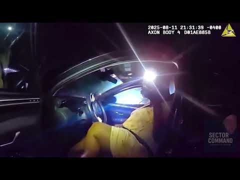 Lady Refuses to Exit Vehicle — Ends Badly