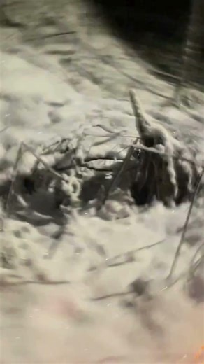 Pioneer 5 pyrokratia! #pyro #ilmapommi #pyrokratia