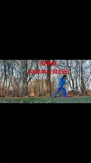 双手剑Two-handed sword＃sword #wushu #martialarts #武術 #武术表演 #kungfu #功夫 #Narihito Watanabe 渡成功