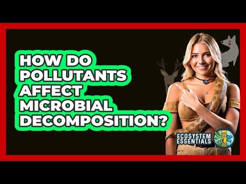 How Do Pollutants Affect Microbial Decomposition? - Ecosystem Essentials
