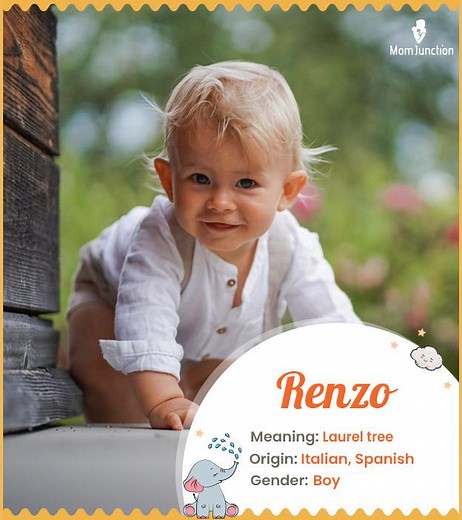 Renzo Name Meaning, Origin, History, And Popularity